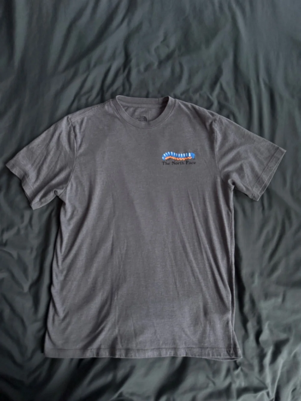 The North Face gray north